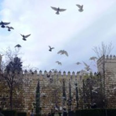 Timeline: My life in Seville