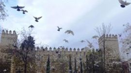 Timeline: My life in Seville