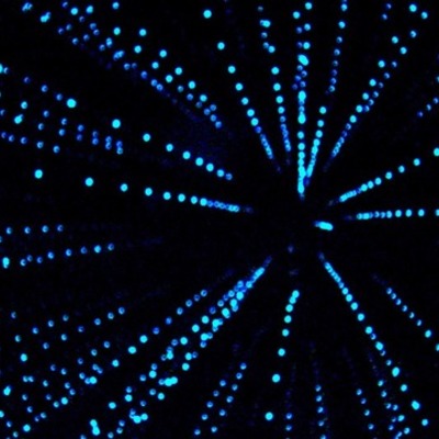 Timeline: History of Art in Simulation & Visualization