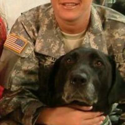 Timeline: my timeline