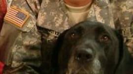 Timeline: my timeline