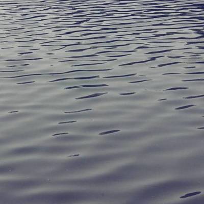 Timeline: The Best of Me in The Future