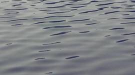 Timeline: The Best of Me in The Future