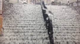 Timeline: Evolución y Origen del concepto de desarrollo sustentable