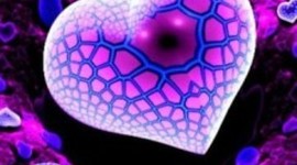 Timeline: ¿Porqué nos enamoramos?