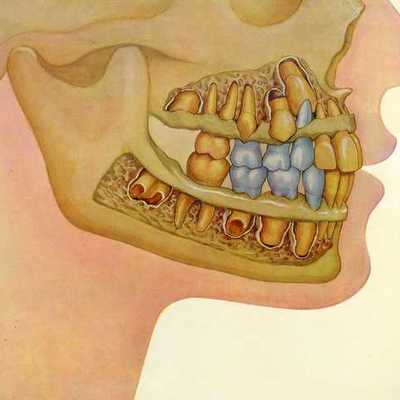 Timeline: ERUPCIÓN DENTARIA