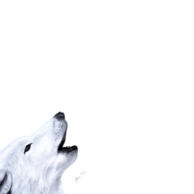 Timeline: Medio ambiente