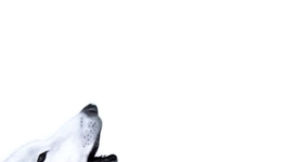 Timeline: Medio ambiente