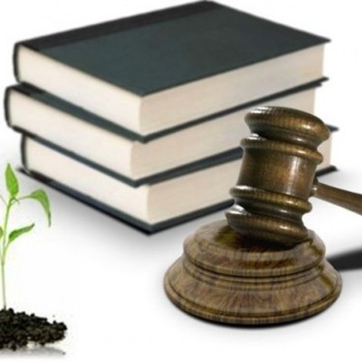 Timeline: Evolución de la RSE