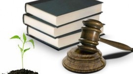 Timeline: Evolución de la RSE