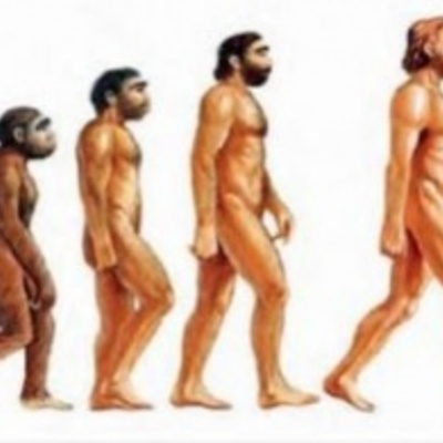 Timeline: Evolución Humana, Hominización
