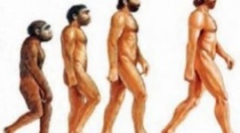 Timeline: Evolución Humana, Hominización