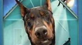 Timeline: Swindle by Ryan Herilla