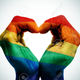 Lgbtq timeline project title pic