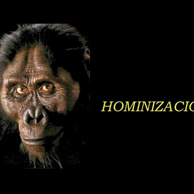 Timeline: Homonización
