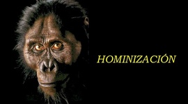 Timeline: Homonización