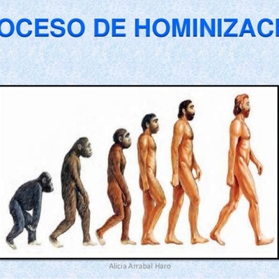 Timeline: Proceso de Hominización