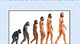 Timeline: Proceso de Hominización