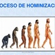 Proceso de hominizacin alicia arrabal haro 1 638
