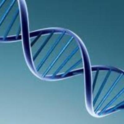 Timeline: Storia della genetica