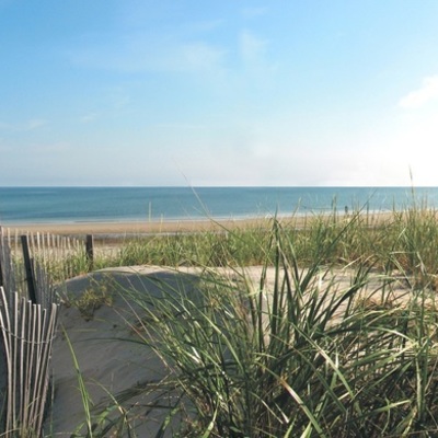 Timeline: What do teachers do during the summer? Here's what I did as an example!