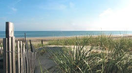 Timeline: What do teachers do during the summer? Here's what I did as an example!