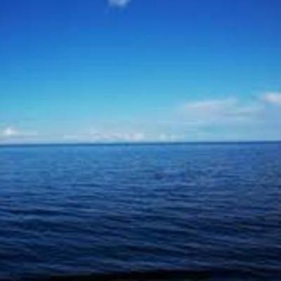 Timeline: ShipWreck Coast