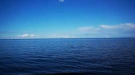 Timeline: ShipWreck Coast