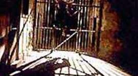 Timeline: Jails And Prisons