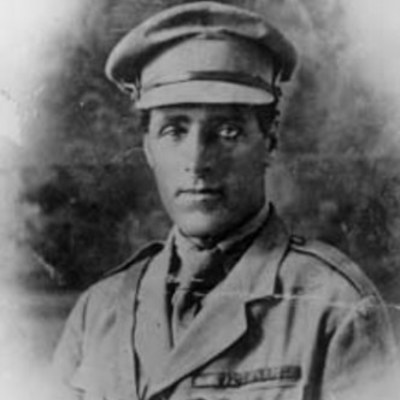 Timeline: חיי טרומפלדור