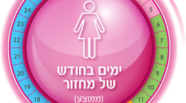 Timeline: מחזור הווסת