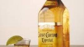 Timeline: noche de shots