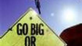 Timeline: go big or go home patrickt.