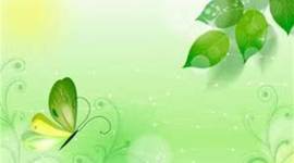 Timeline: MFA Mastery Journey