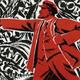 The russian revolution