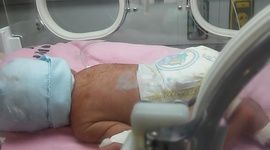 Timeline: nacimiento de mis sobrinos