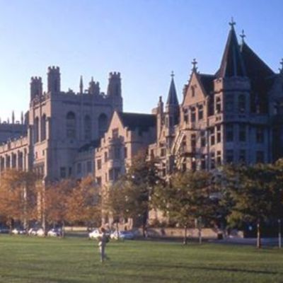 Timeline: Origen de las universidades