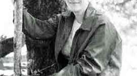 Timeline: Irene McCormack