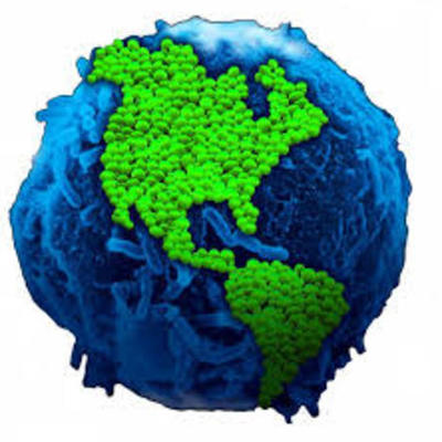 Timeline: HISTORIA DE LA MICROBIOLOGIA AMBIENTAL