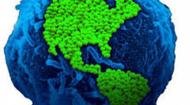 Timeline: HISTORIA DE LA MICROBIOLOGIA AMBIENTAL