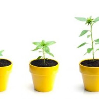 Timeline: Lifetime Personal Health