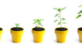 Timeline: Lifetime Personal Health