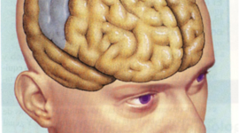 Timeline: TEORIAS DEL APRENDIZAJE