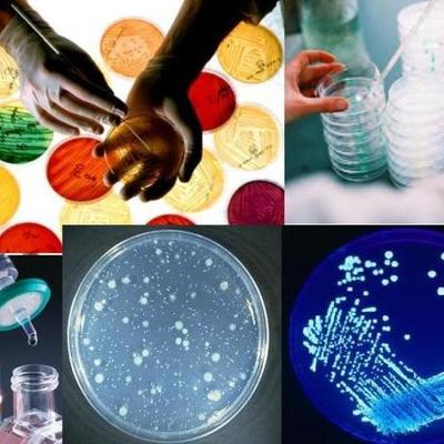 Timeline: EVENTOS IMPORTANTES PARA EL DESARROLLO DE LA MICROBIOLOGÍA