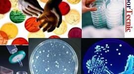 Timeline: EVENTOS IMPORTANTES PARA EL DESARROLLO DE LA MICROBIOLOGÍA