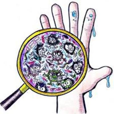 Timeline: Linea de Tiempo de la Historia de la Microbiologia