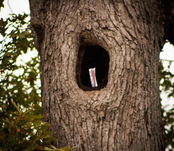 To Kill A Mockingbird Timeline | Timetoast timelines