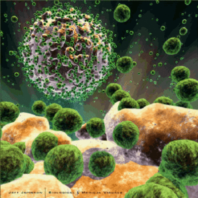 Timeline: historia de la inmunologia