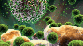 Timeline: historia de la inmunologia