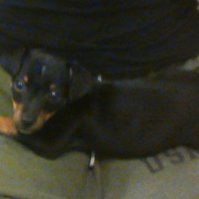 Timeline: The life of Ashley Martinez